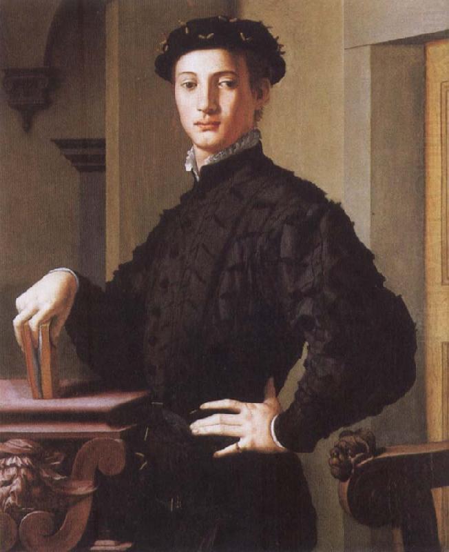 Agnolo Bronzino Portrait of a Young Man china oil painting image